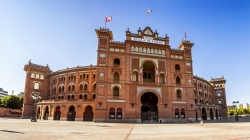 El Centro de Asuntos Taurinos aprueba los carteles de la Feria de Otoño