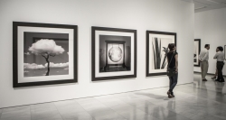 Proponemos nuevas actividades virtuales a través de nuestras salas de exposiciones
