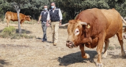 Promovemos el pastoreo controlado como medio para prevenir los incendios forestales