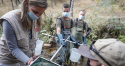 Iniciamos la campaña anual de censos y acciones de rescate de fauna piscícola en ríos trucheros
