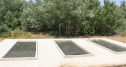 Impulsamos un proyecto piloto para depurar las aguas con plantas
