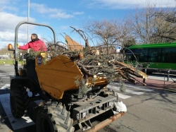El Ayuntamiento cifra en casi 14 millones de euros los daños del arbolado de Majadahonda