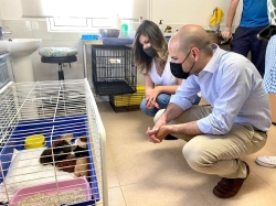 El CICAM de Majadahonda ha hecho posible 127 adopciones de perros y gatos en un año