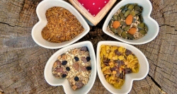 Participamos en un proyecto europeo para gestionar datos de alimentación en la nube