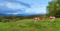 Aumentamos las ayudas para apoyar a los jóvenes agricultores y ganaderos