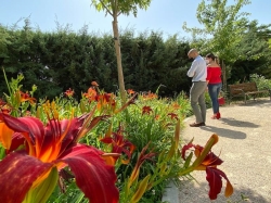 Majadahonda invierte medio millón de euros más en el mantenimiento de sus zonas verdes