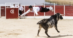 Promocionamos la Tauromaquia apoyando un Campeonato de Recortadores