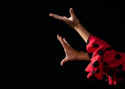 El Festival de Flamenco vuelve a Majadahonda por su XXI edición