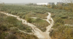 La Comunidad de Madrid recuperará 80.000 metros cuadrados de suelo público de la Cañada Real para espacios verdes