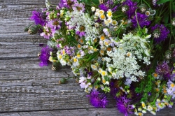 Floristería a domicilio en Madrid: regalar felicidad nunca ha sido tan fácil