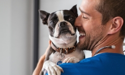 Importancia del bienestar animal para nuestras mascotas