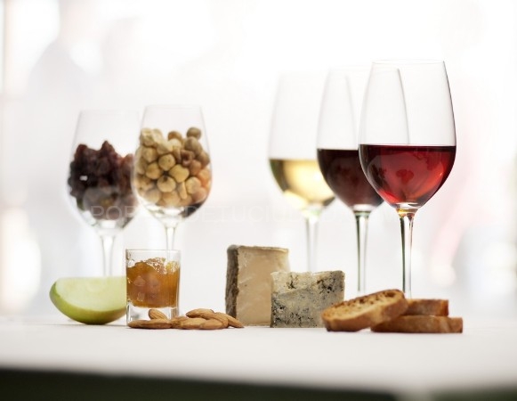 Bodegas Torres ofrece una amplia variedad de actividades de enoturismo para todos los gustos