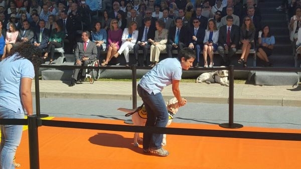La Fundación ONCE del Perro Guía ofrece una Jornada de Puertas Abiertas a los vecinos de Boadilla
