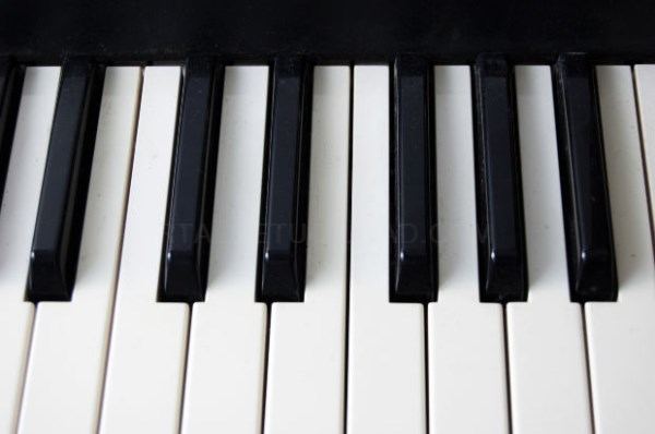 La Escuela Municipal de Música ofrece audiciones comentadas y cursos para los aficionados al cuarto arte