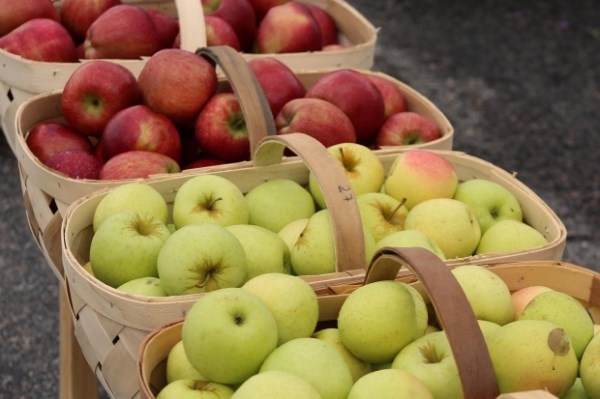 El mercado de alimentos “La Despensa de Madrid” llega el domingo a Majadahonda