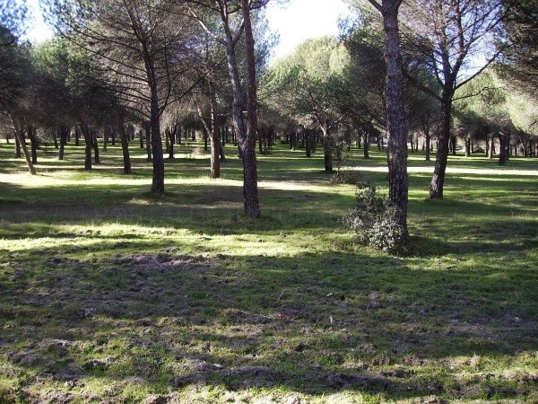 La Asociación de Amigos de los Caminos solicita que deje sin efecto el documento que pretence regular las visitas al Monte del Pilar