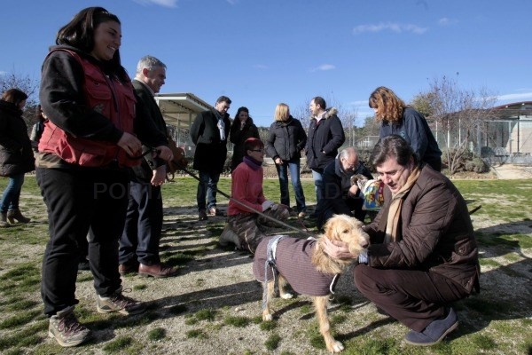 Abiertos los centros de atención de animales a los grupos de la Asamblea