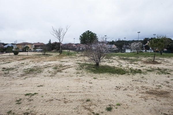 El Ayuntamiento de Pozuelo responde a una demanda vecinal con la mejora de una zona verde forestal en el entorno de La Cabaña y Montegancedo