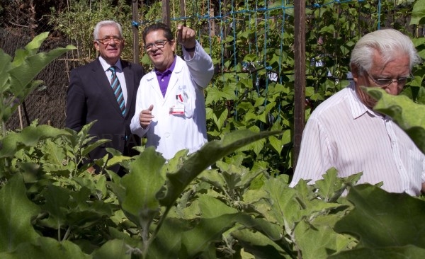 Sanidad realizará un primer estudio sobre los efectos en la salud de un huerto terapéutico
