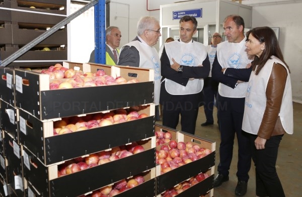 IV EDICIÓN DE ‘LA GRAN RECOGIDA’