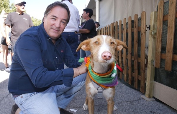 El abandono de mascotas registra los valores más bajos en el primer semestre de 2016