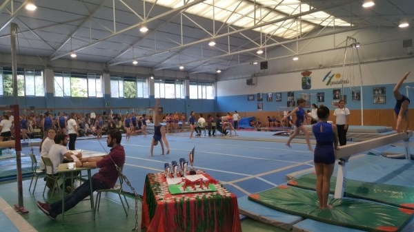 Éxito del Festival de la Escuela Municipal de Gimnasia.