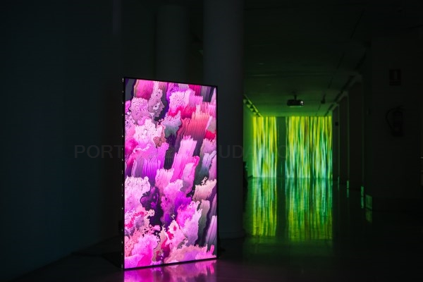 Exposición ‘Fluctuaciones’ del artista madrileño Daniel Canogar.
