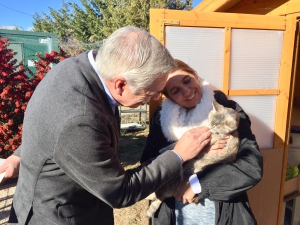 Se invita a los madrileños que deseen incorporar animales de compañía a su familia durante estas fechas, que opten por adoptar.