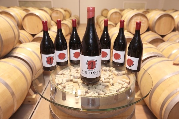 Las ventas de los Vinos de Madrid con DO superaron los 4 millones de botellas en 2017.
