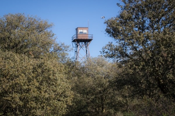 Vigilancia y prevención: claves para evitar los incendios en el Monte del Pilar.