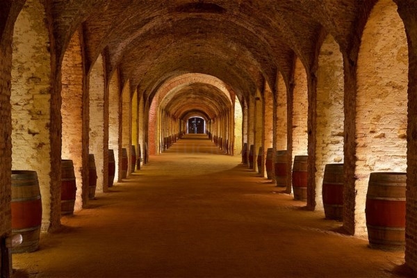 Rutas turísticas que recorren una veintena de bodegas madrileñas con Denominación de Origen.