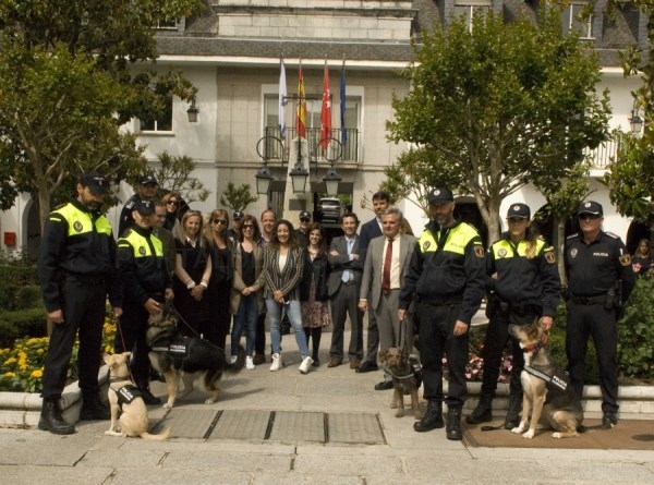 La Policía Local de Majadahonda presenta su unidad canina,Dyngo, Odi, Tuka y Sua.