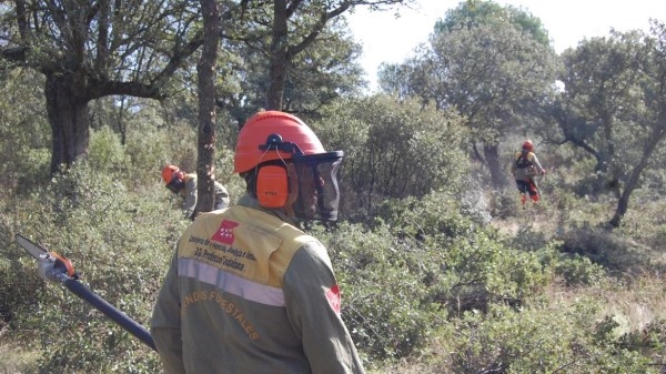 La Comunidad de Madrid invertirá para la elaboración de un proyecto que permita mejorar 13 bases de retenes forestales.