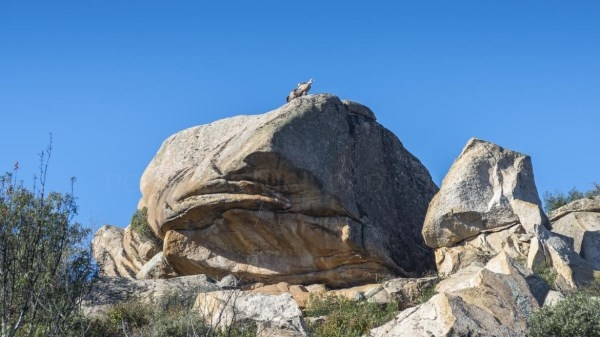 Se destinó 500.000 euros en 2018 a proyectos ambientales desarrollados por ONG.