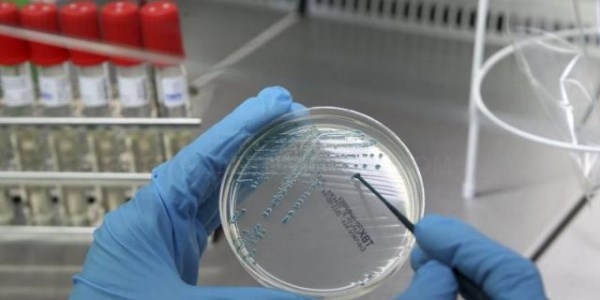 La primera inmunoterapia española muestra eficacia en pacientes con cáncer.