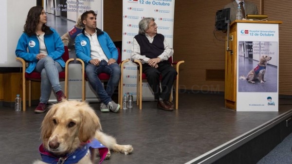 El 12 de Octubre demuestra los beneficios de la terapia asistida con animales.