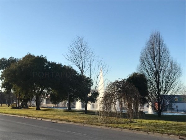 El Ayuntamiento comienza el año con mejoras en el acerado y aumento de la seguridad peatonal.