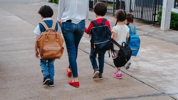 En el próximo curso habrá asignaturas de Primaria sobre convivencia, tolerancia y emprendimiento.