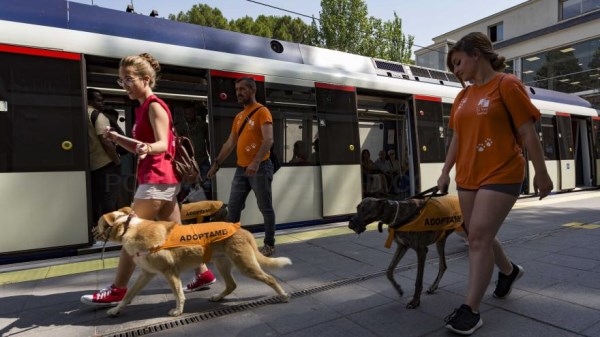 Cerca de 400.000 perros han accedido ya a las instalaciones de Metro de Madrid desde que en julio de 2016.