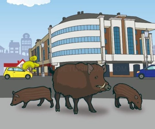 El Ayuntamiento incorpora perros pastores a su plan de control de presencia de jabalíes en zonas urbanas.