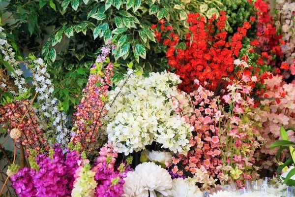 Floristería Menta y Canela, Madrid
