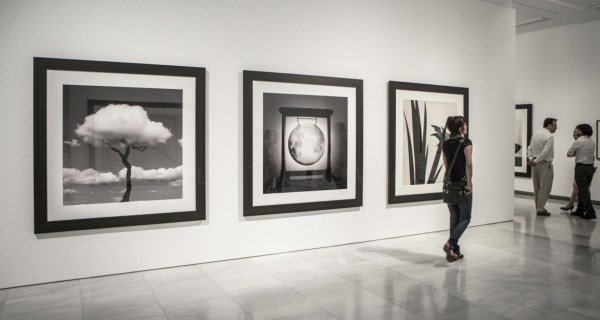 Proponemos nuevas actividades virtuales a través de nuestras salas de exposiciones
