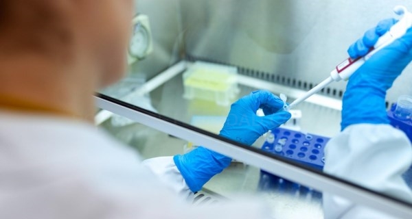 Financiamos un trabajo para reparar tejido nervioso dañado tras un ictus cerebral