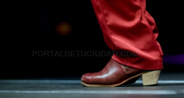 Celebraremos este año el festival Suma Flamenca bajo el lema Al sur del sur
