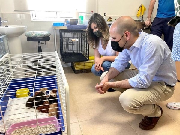 El CICAM de Majadahonda ha hecho posible 127 adopciones de perros y gatos en un año