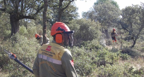 Reforzamos la limpieza de ramaje y arbolado dañado en zonas de protección contra incendios