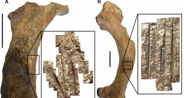 Certificamos la presencia humana en Sudamérica hace más de 30.000 años