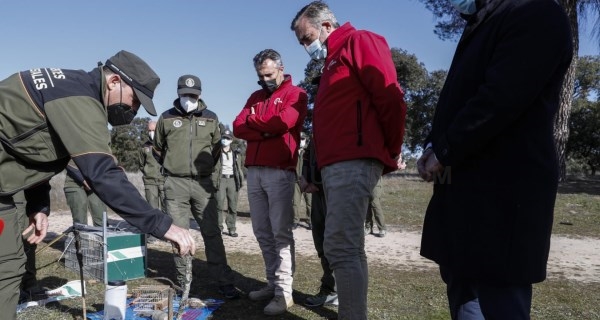 La Comunidad de Madrid duplicó en 2021 la investigación de presuntos delitos ambientales a través del Cuerpo de Agentes Forestales