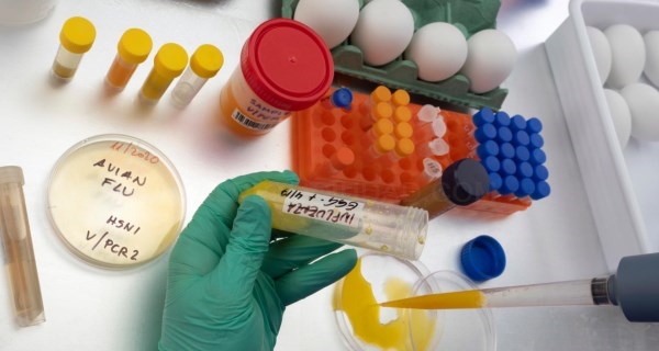 La Comunidad de Madrid detecta el segundo caso de gripe aviar en la región
