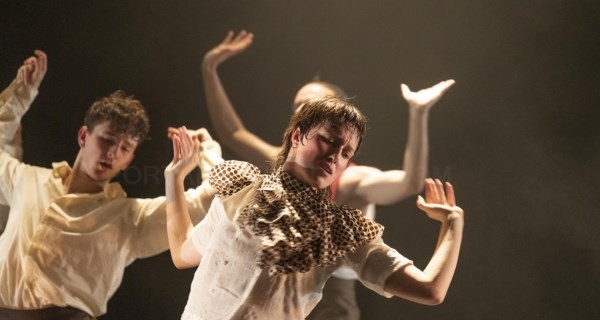 La Comunidad de Madrid reúne la mejor creación coreográfica contemporánea en la Muestra Canal Baila